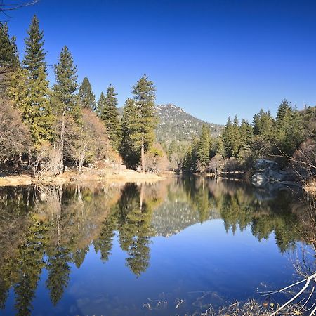 Idyllwild Bunkhouse Villa Ngoại thất bức ảnh